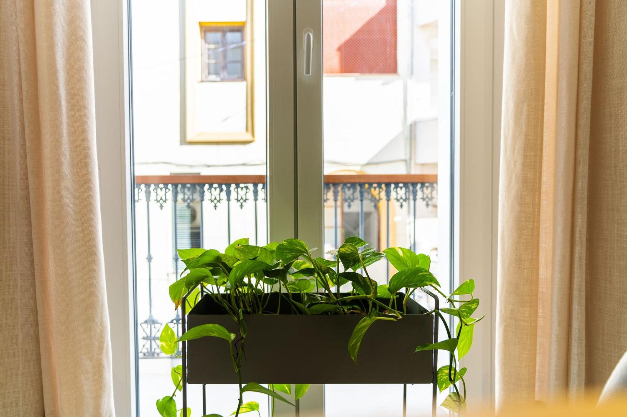 Casa De La Vega Suites Чиклана де ла Фронтера Екстериор снимка